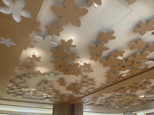 customized ceiling